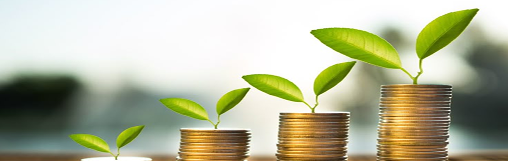 Welcome to Samrajya DigiGold - Where 
Trust Meets Tradition